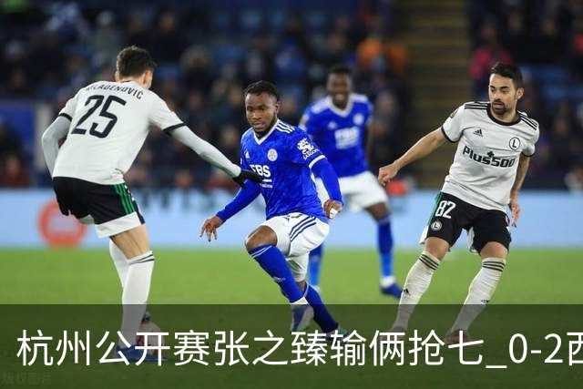 杭州公开赛张之臻输俩抢七 0-2西里奇收获亚军